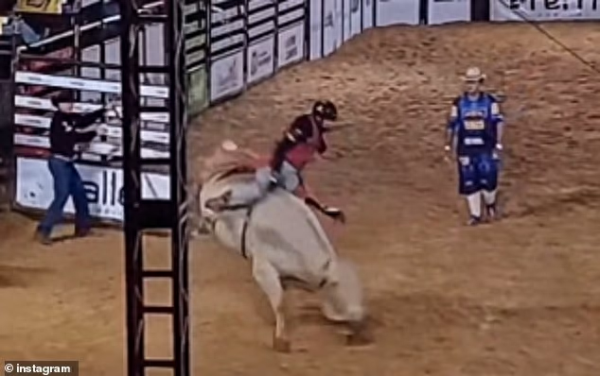 Brazil Bullfighter đã bị một c